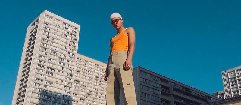 DICKIES - THEY SAID IT COULDN'T BE DONE thumbnail