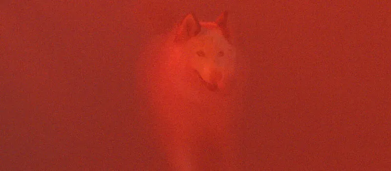 HARTS - POWER thumbnail