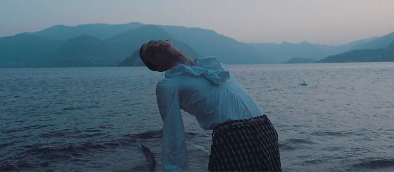 IN THE SHADOW OF YOUNG BOYS IN FLOWER thumbnail