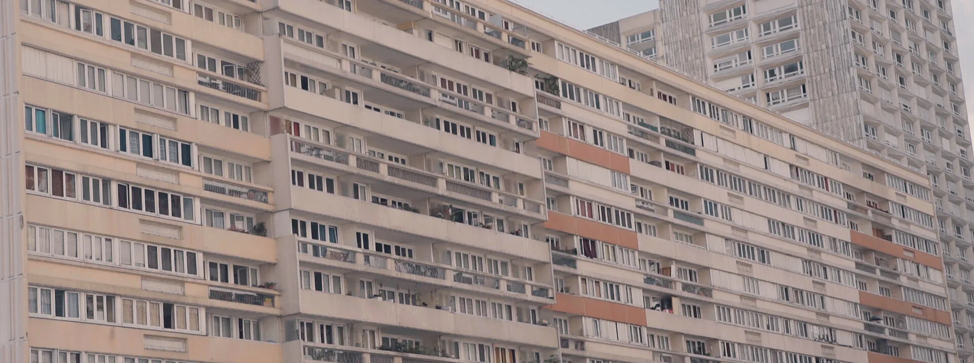 A HISTORY OF LIQUID PAPER & OTHER THINGS (TEASER) - NIMA NABILI RAD - image 3