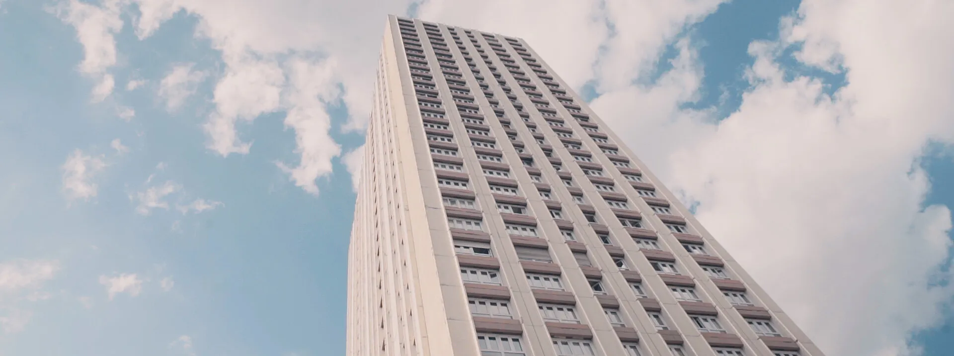 A HISTORY OF LIQUID PAPER & OTHER THINGS (TEASER) - NIMA NABILI RAD - image 6