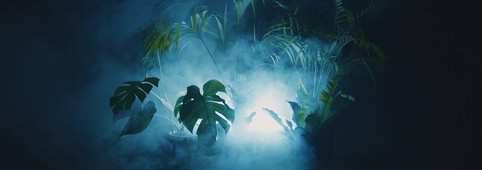 CASIO X SNEAKER FREAKER - GSHOCK NIGHT OWL - NIMA NABILI RAD - image 14