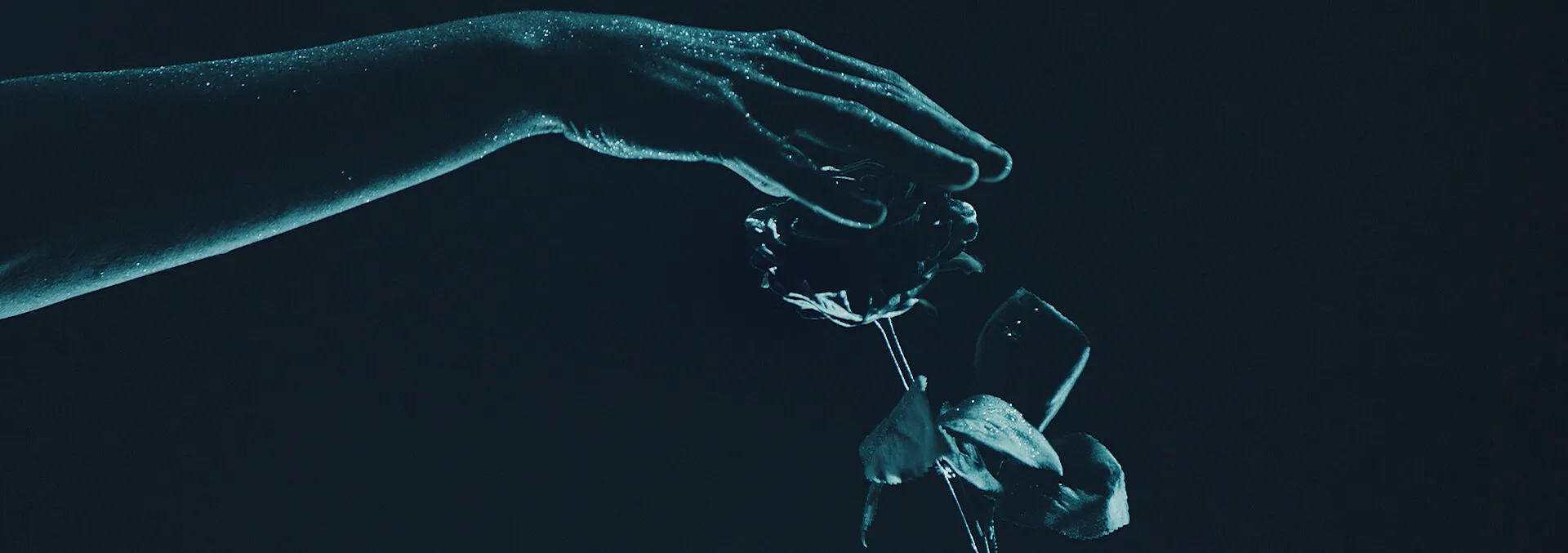 CASIO X SNEAKER FREAKER - GSHOCK NIGHT OWL - NIMA NABILI RAD - image 8