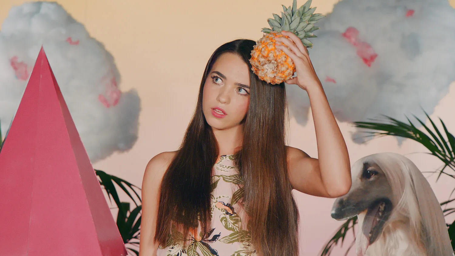 CURIOUS GRACE - ONLINE CONTENT - NIMA NABILI RAD - image 3