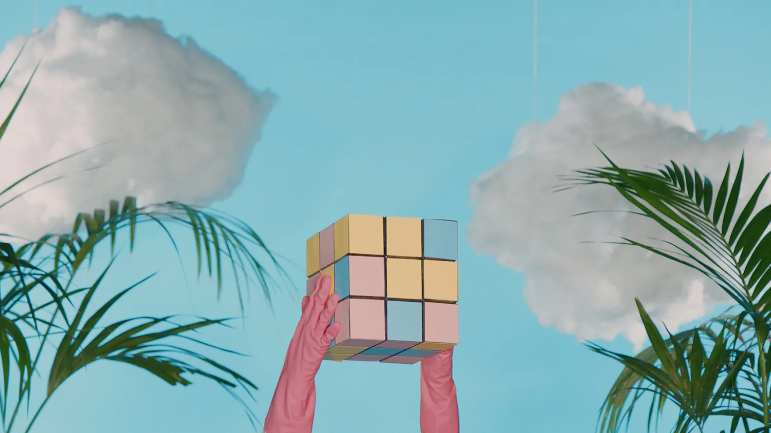 CURIOUS GRACE - ONLINE CONTENT - NIMA NABILI RAD - image 4