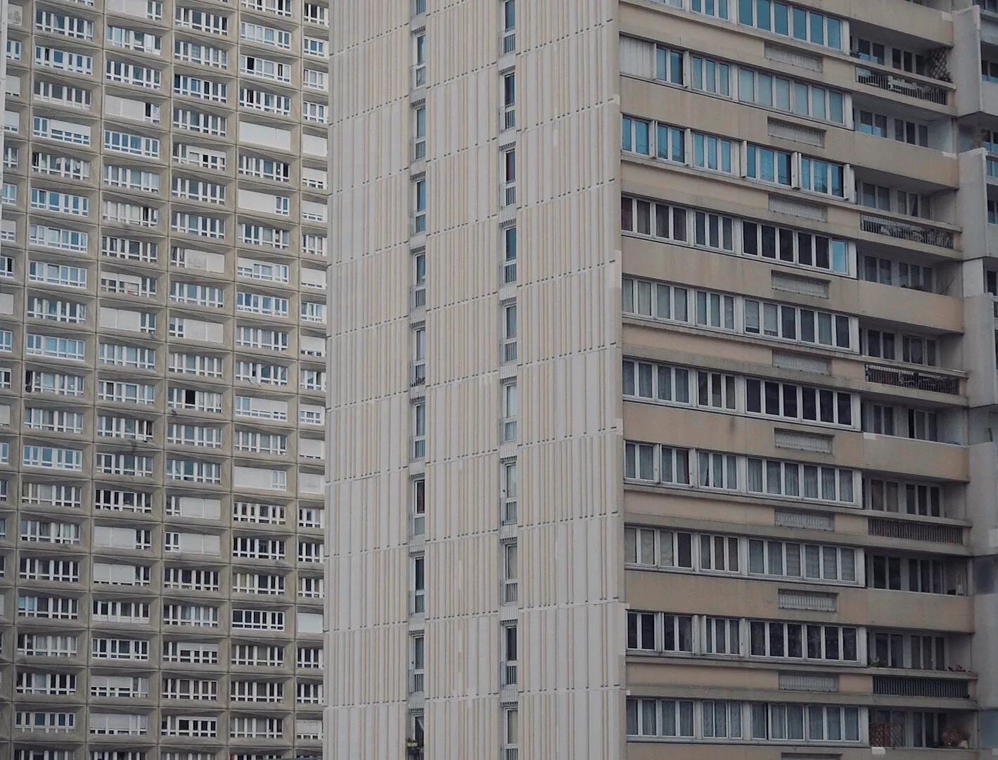 DICKIES - THEY SAID IT COULDN'T BE DONE - NIMA NABILI RAD - image 2