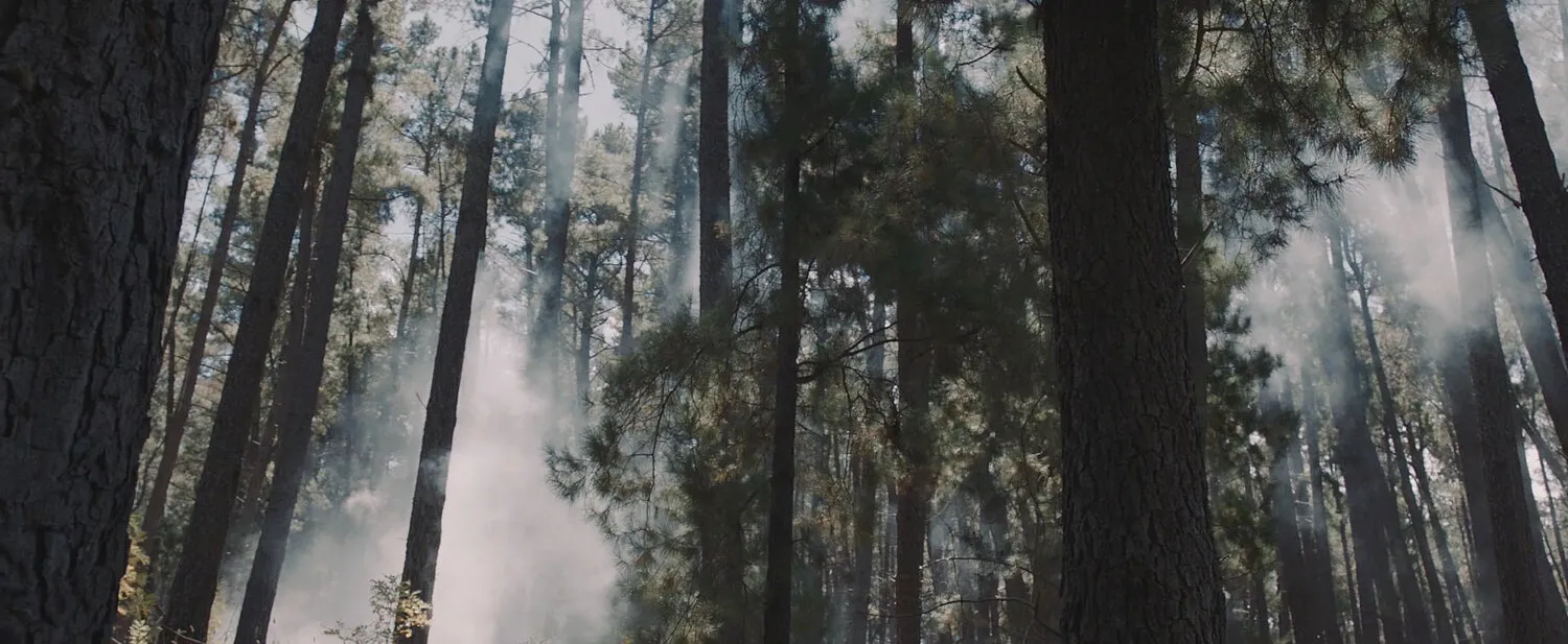 DVBBS & JAY HARDWAY - VOODOO - NIMA NABILI RAD - image 4