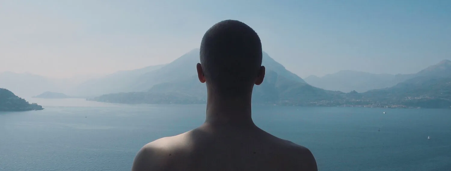 IN THE SHADOW OF YOUNG BOYS IN FLOWER - NIMA NABILI RAD - image 5