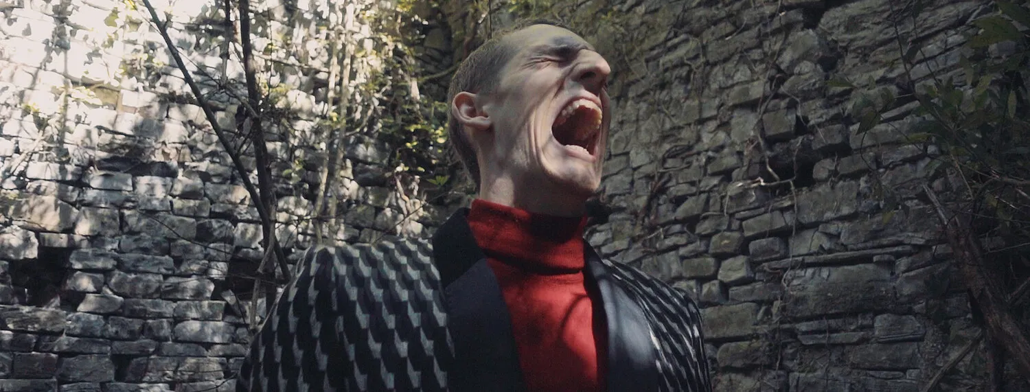 IN THE SHADOW OF YOUNG BOYS IN FLOWER - NIMA NABILI RAD - image 8