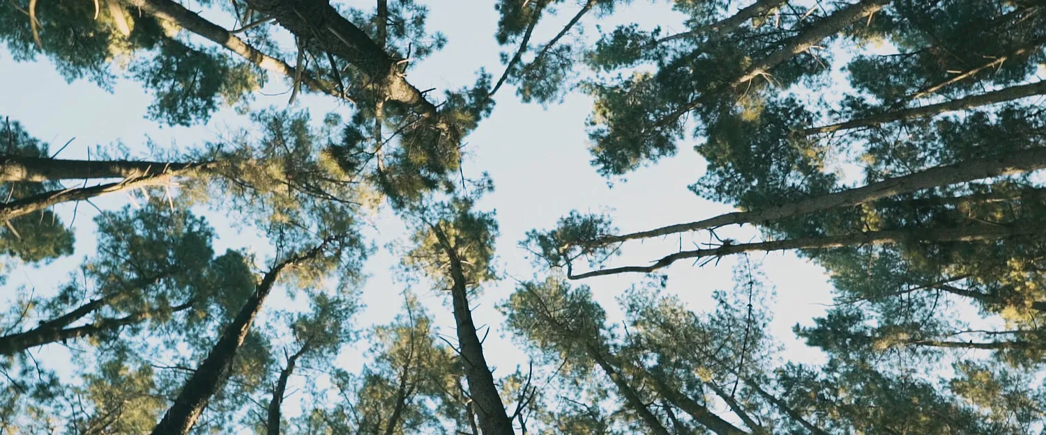 L.B. ONE - CHILLY - NIMA NABILI RAD - image 3