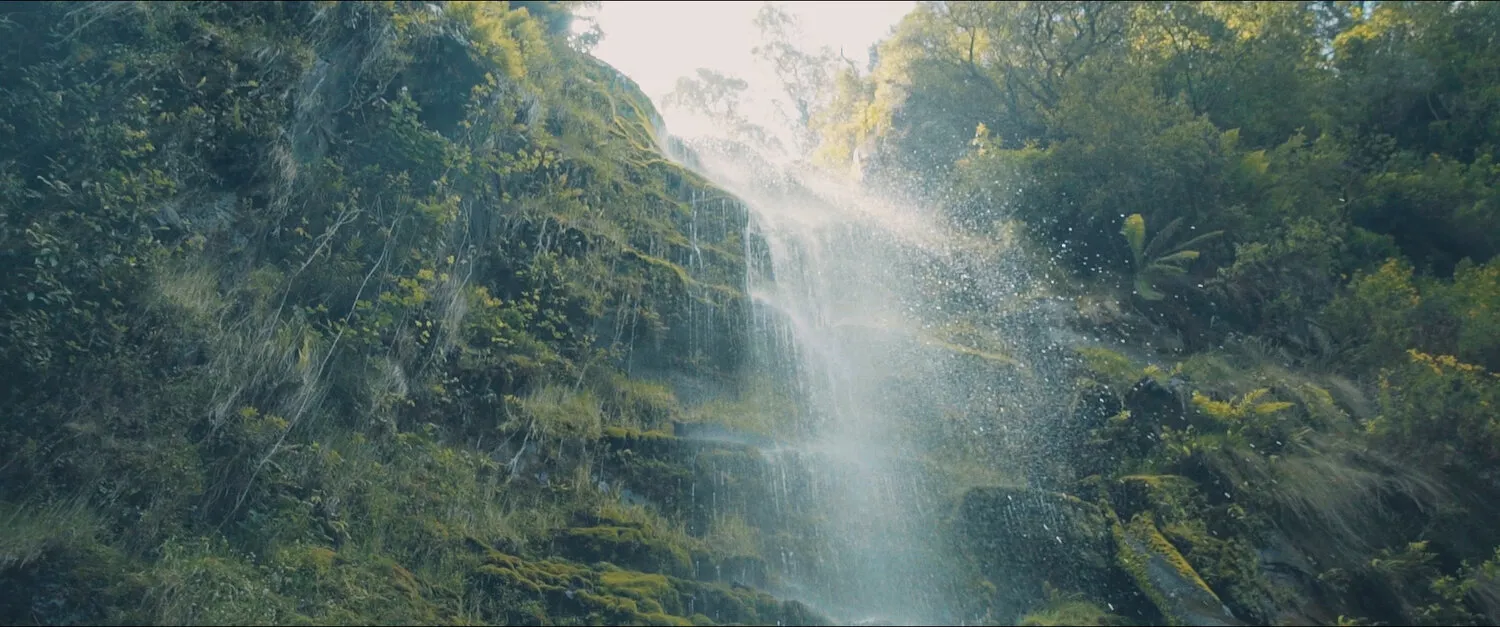 LVNDSCAPE - WATERFALLS - NIMA NABILI RAD - image 8