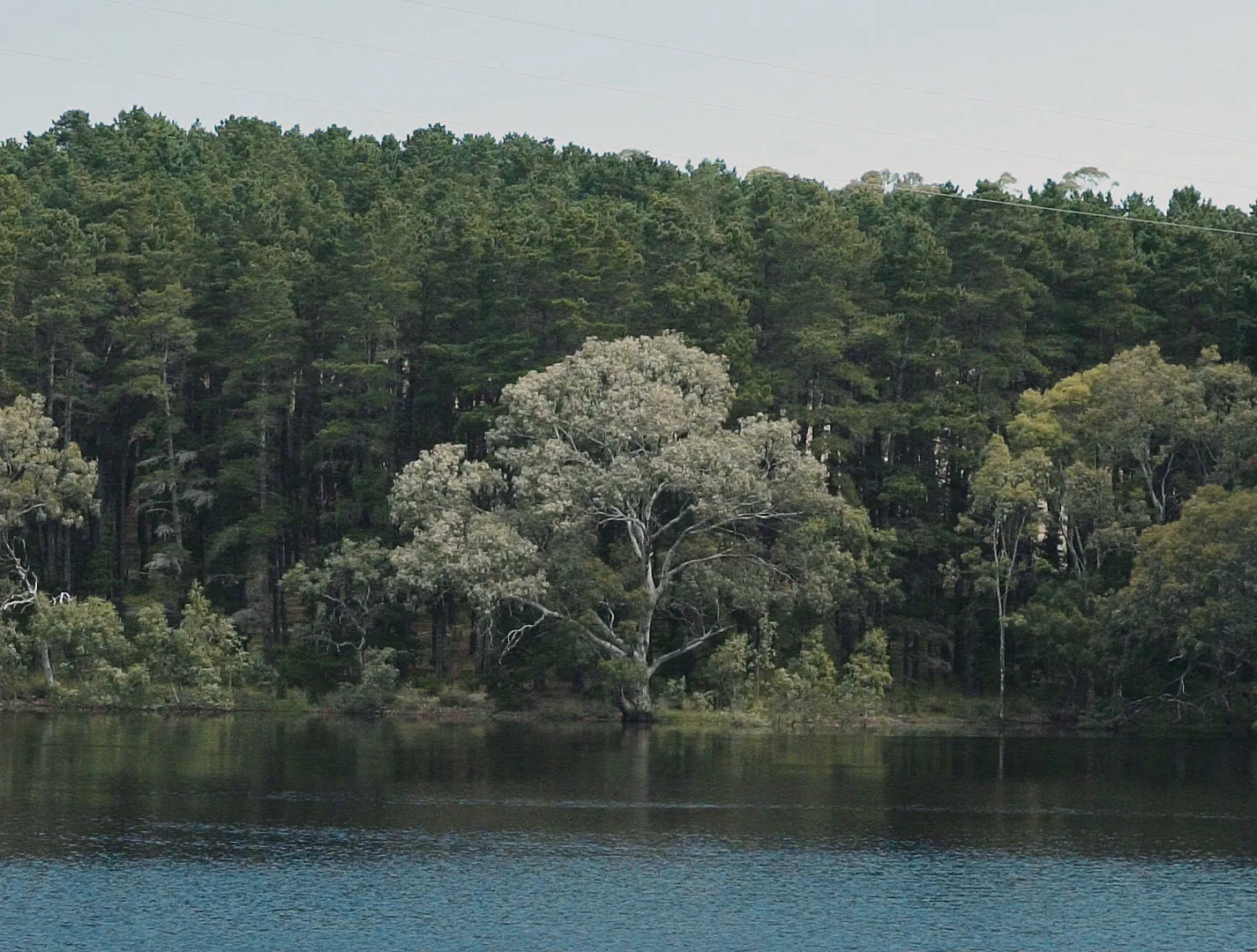 NELSON DIALECT - 2 TRAIN WITH THE 7 - NIMA NABILI RAD - image 1