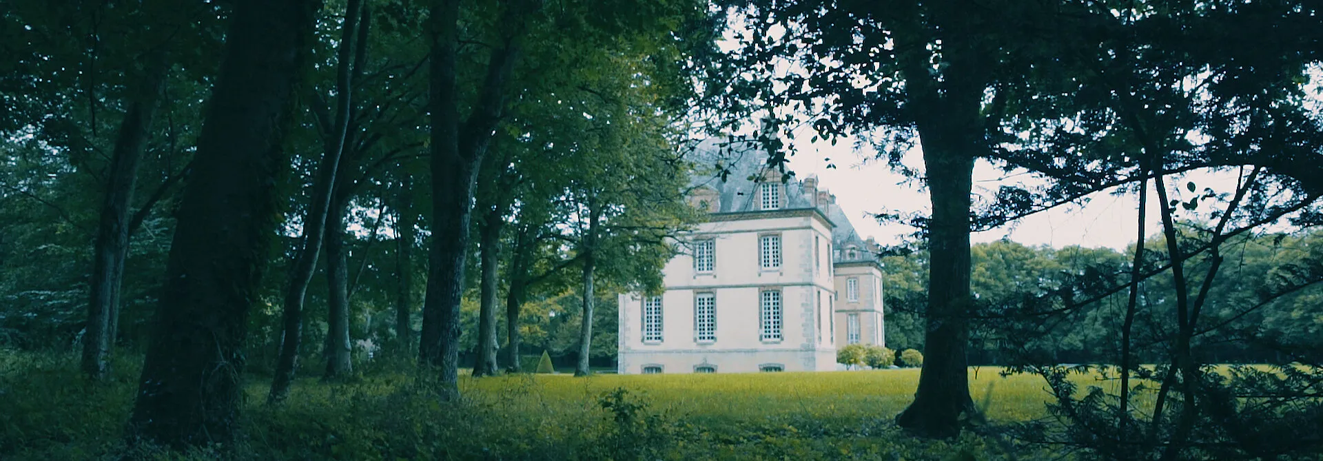 PAOLO SEBASTIAN - GILDED WINGS - NIMA NABILI RAD - image 4