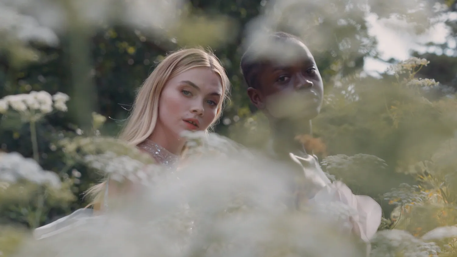 PAOLO SEBASTIAN - PASSAGE OF SPRING - NIMA NABILI RAD - image 4