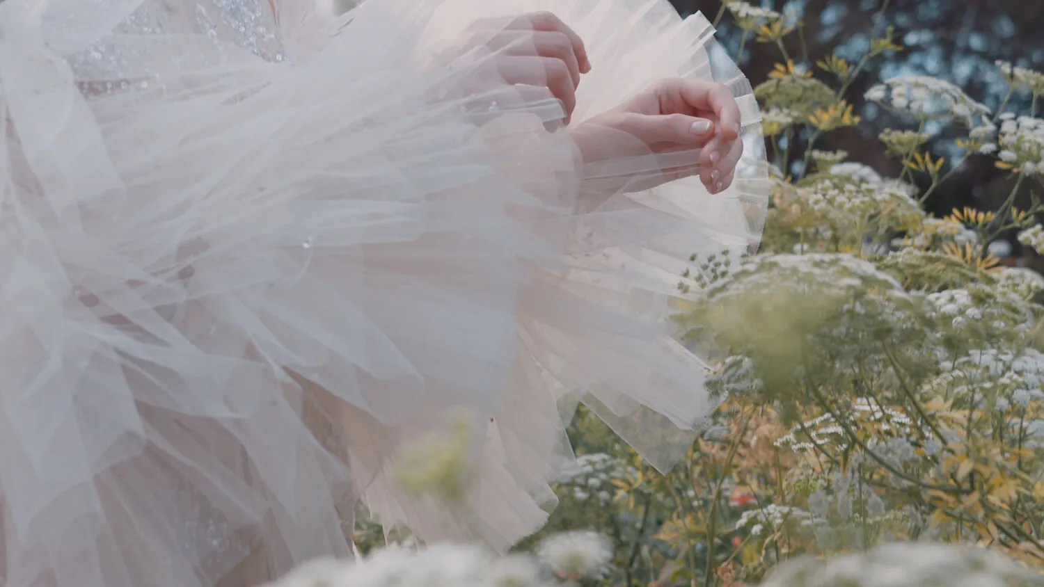 PAOLO SEBASTIAN - PASSAGE OF SPRING - NIMA NABILI RAD - image 6