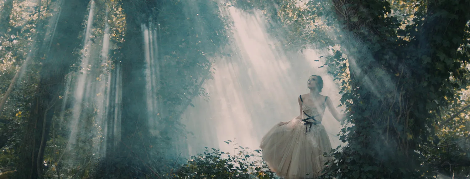 PAOLO SEBASTIAN - THE SLEEPING GARDEN - NIMA NABILI RAD - image 4