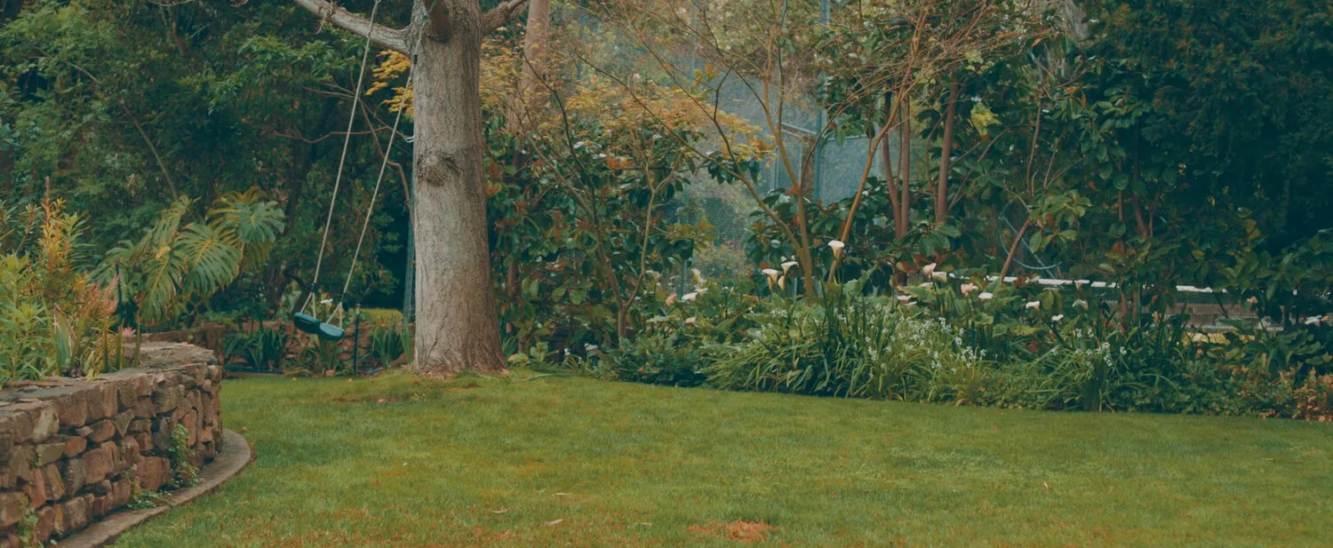 PARRA FOR CUVA - WICKED GAMES - NIMA NABILI RAD - image 4