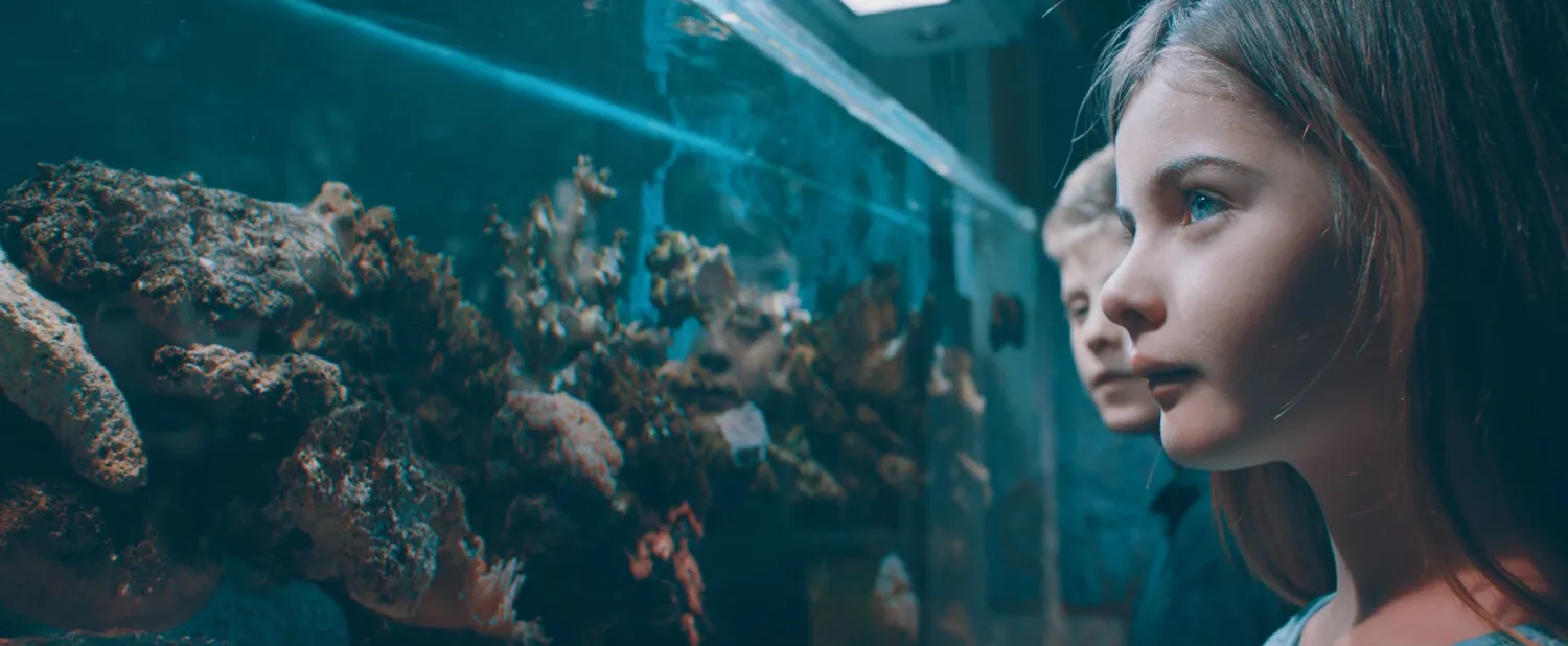 PARRA FOR CUVA - WICKED GAMES - NIMA NABILI RAD - image 8