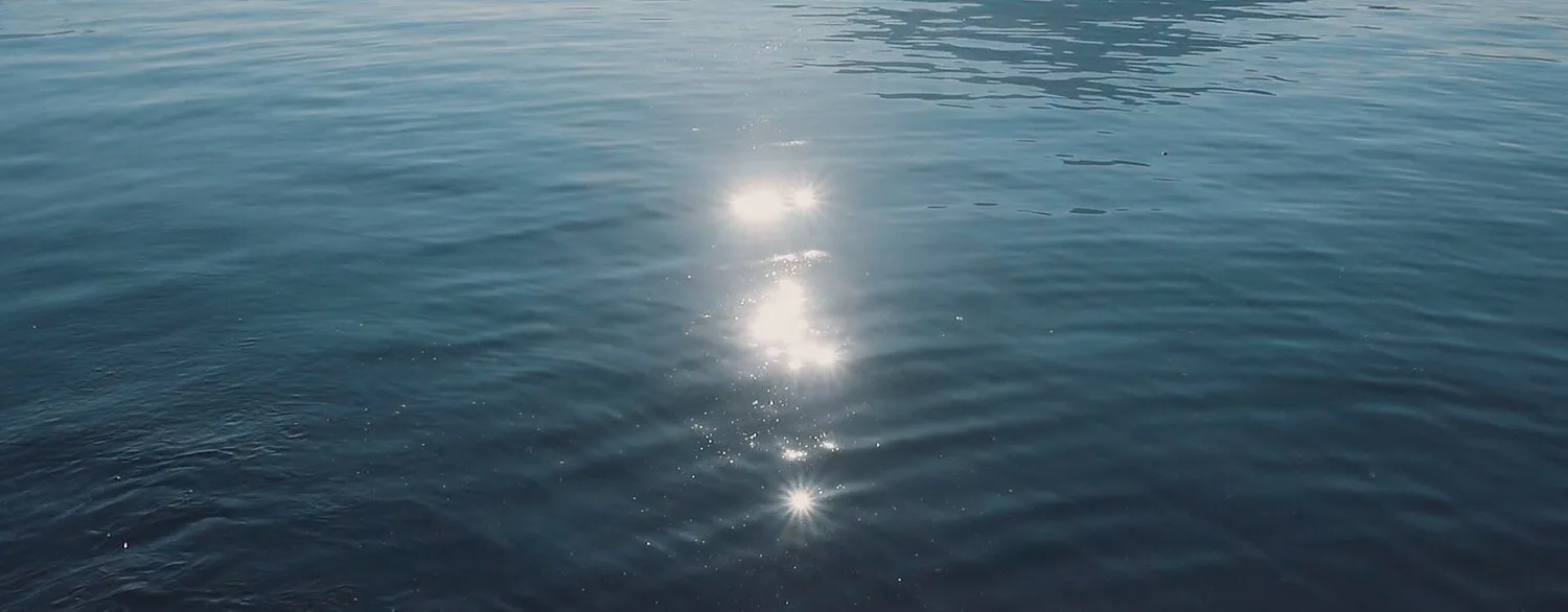 THE SHIMMERING DEPTHS OF THE HEART - NIMA NABILI RAD - image 4