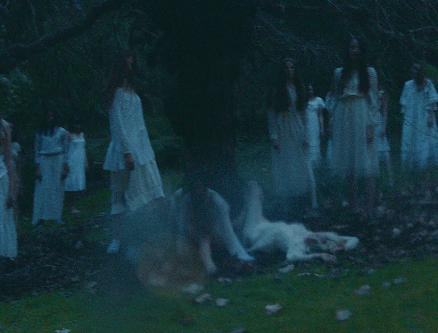 VENUS II - I WANT U 4 MYSELF - NIMA NABILI RAD - image 17