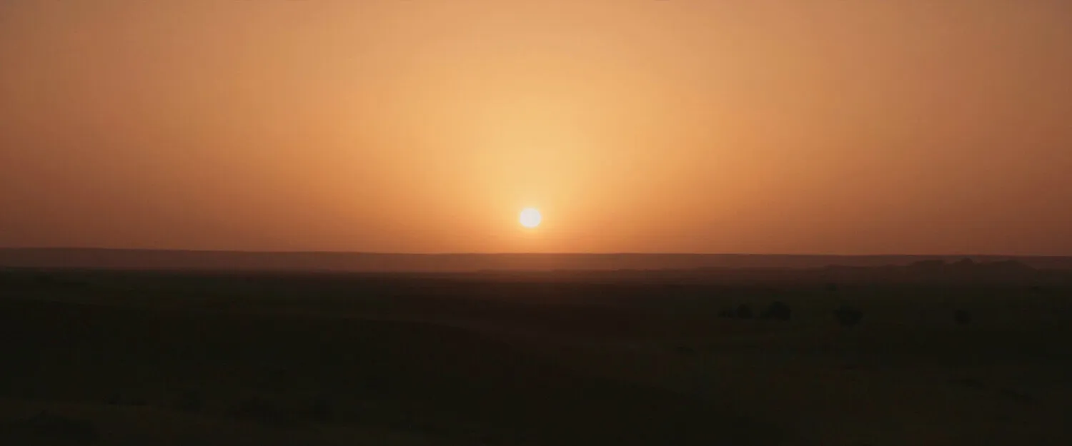 VIENNA WAITS FOR YOU - NIMA NABILI RAD - image 4