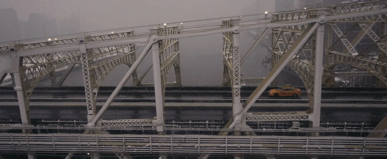 WINTER IN AMERICA - NIMA NABILI RAD - image 1